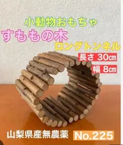 Item thumbnail for item aafb41cc-cc7e-4bca-bf49-265166ef158b