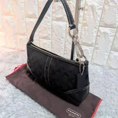 【極美品】COACH ワンショルダーバッグ 肩掛け シグネチャー レザー 保存袋のサムネイル