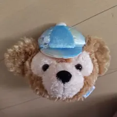 ディズニーバケーションパッケージ ダッフィー ぬいぐるみポーチ ショルダーバッグ