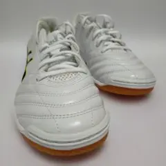 Item thumbnail for item 39090b8e-0df8-4bc4-8424-a0f45586aff4