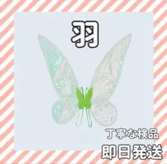 新品✨羽 ティンカーベル コスプレ ハロウィン 衣装 ディズニー アクセサリーs