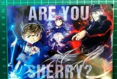 Item thumbnail for item 5dab1018-cfa0-49a3-afd5-e3473b773bff