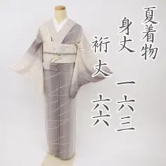 【夏着物】絽＊小紋 長尺 縦縞模様 ベージュ×茶色 普段着 正絹 7KY117