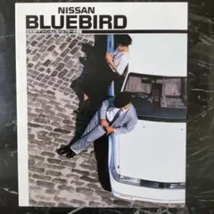 Item thumbnail for item 708e1a0f-3be6-48b3-b607-63f087e6ad17