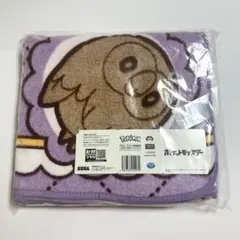 ポケットモンスター　プラチナムザッカ ブランケット　ピカチュウ イーブイのサムネイル