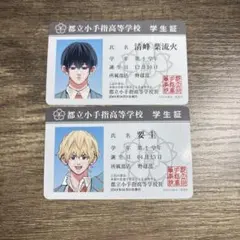 Item thumbnail for item bdb4f64e-40df-442c-a99c-a4c76d897ca6