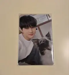 最終値下げ！ENHYPEN 2025 アンケート 特典 FCトレカ ジョンウォン