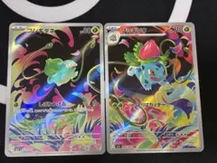 フシギダネ フシギソウ AR まとめ売り メガブレイブのサムネイル