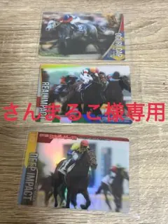 【さんまるこ様専用】サラブレッドホースコレクション まとめ売り3枚セット