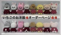 skzoo 10cmぬいサイズ　ぬい服　いちごのお洋服