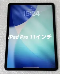 2026年最新】IPADPRO11インチ 本体 第4世代の人気アイテム - メルカリ