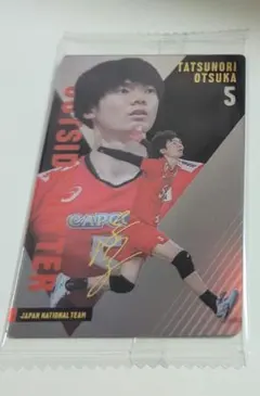 Item thumbnail for item 6937694f-c0eb-4583-8622-3b07458e21f6