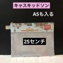 ☆ 大きめ！A5のノートも入るキャスキッドソン　ラミネート生地　ハンドメイド