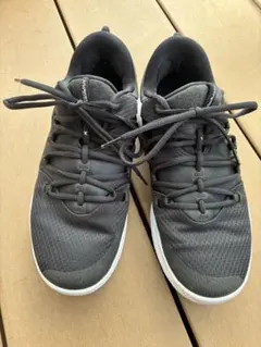 Item thumbnail for item 39ef26a8-ae75-4584-a592-cea5d5b0178e