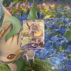 ガチグマ アカツキex SAR スカーレット&バイオレット 強化拡張パック ク…
