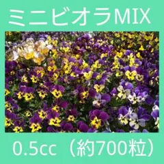 salsa様 リクエスト 3点 まとめ商品