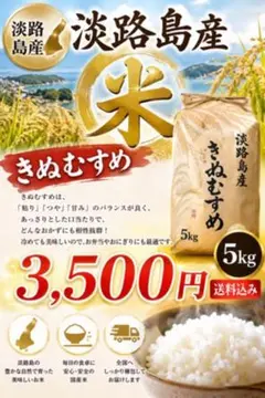 ‼️美味しい‼️淡路島産米　きぬむすめ 5kg 農家直送のサムネイル