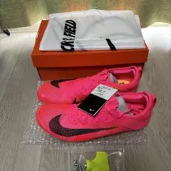 Item thumbnail for item b02155a9-b075-463e-8419-491735d71170