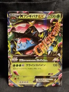 2026年最新】シリーズ：XY／XYBREAK ポケモンカードゲームの人気