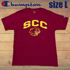 US古着 Champion NCAA サウスカロライナ大学 カレッジTシャツ L