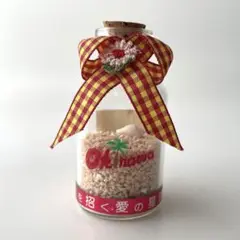 幸せを招く愛の星砂　沖縄