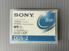 소니 DDS2 DGD120P 8GB PC200ax 호환