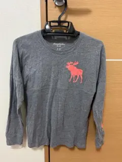 アバクロンビー　ロングＴシャツ
