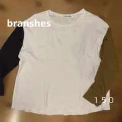 branshes カラーブロック 長袖カットソー