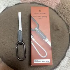 ユナイテッドアローズ カラビナケーブル