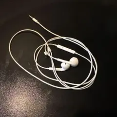 Apple 純正EarPods 有線イヤホン 本体