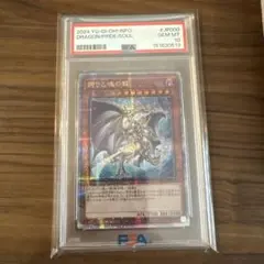 2026年最新】誇りと魂の究極竜 psa10の人気アイテム - メルカリ