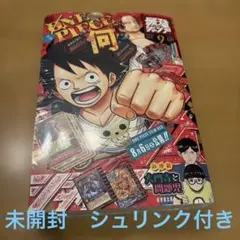未開封 シュリンク付き 付録完備 ワンピースプロモ 最強ジャンプ2022年
