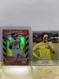 Item thumbnail for item 3a18b529-0c8f-4a92-8cde-be232e83a8c5