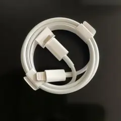 Apple Lightning - USB-C ケーブル 純正品