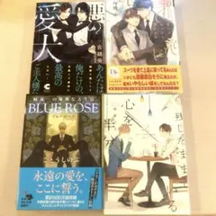 BL小説 4冊セット　砂原糖子　海野幸　ごとうしのぶ　宮緒葵
