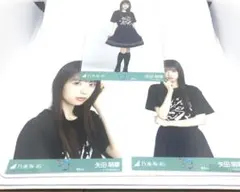 乃木坂46 生写真 矢田萌華 東京ライブT 真夏の全国ツアー2025 コンプ