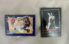 (纏めて購入のみ)ALIEN STAGE トレーディングチェキ風フォトカード