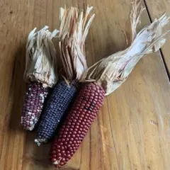 フェイクベジタブル