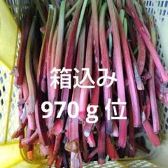 信州産地、新鮮 ルバーブ 茎 野菜、ネコポス いっぱいのサムネイル