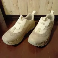 Item thumbnail for item 176947a3-d3b9-4230-bd97-f8d15b326391