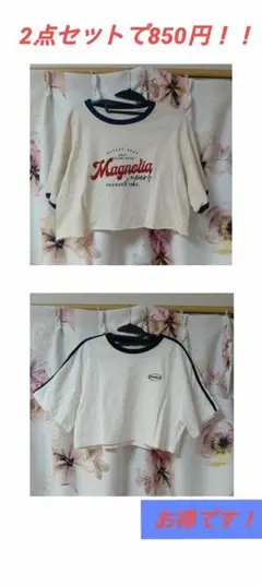 （お得！）WEGO 半袖2点セット！！