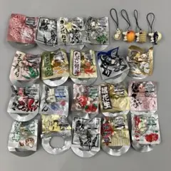 ★ペプシ スヌーピー 全国おいしいものアクセサリー 23個セット