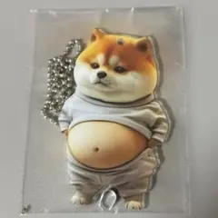 柴犬 腹出しアクリルキーホルダー 新品未使用