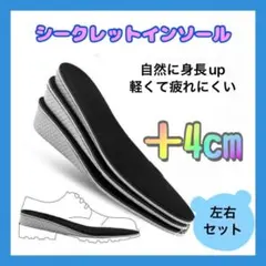 シークレット インソール 4センチ 中敷 男女兼用