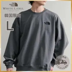 人気色【韓国限定】 THE NORTH FACE ルーズフィット スウェット L