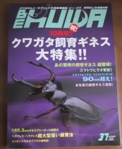 2026年最新】ビークワの人気アイテム - メルカリ