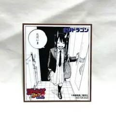 ルリドラゴン　ジャンプフェア’25 inアニメイト 特典色紙