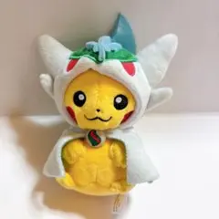2026年最新】エルレイド ポンチョの人気アイテム - メルカリ