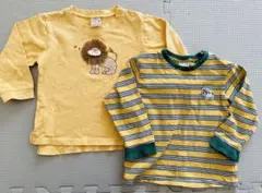 petit main ライオン刺繍 Tシャツ 2枚セット