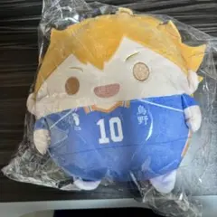 ハイキュー‼︎ くじメイト ぬいくじ C賞 ふわコロりんMsize 日向翔陽
